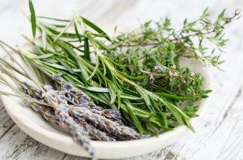 How to Freeze Herbs