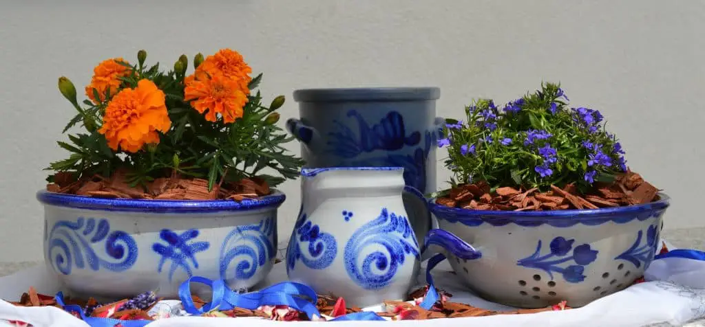 Ceramic pots for succulents