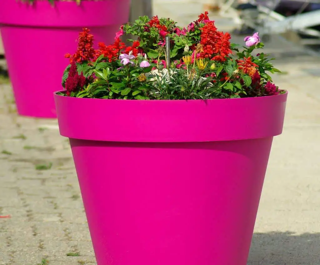 Plastic container pot for succulent plants