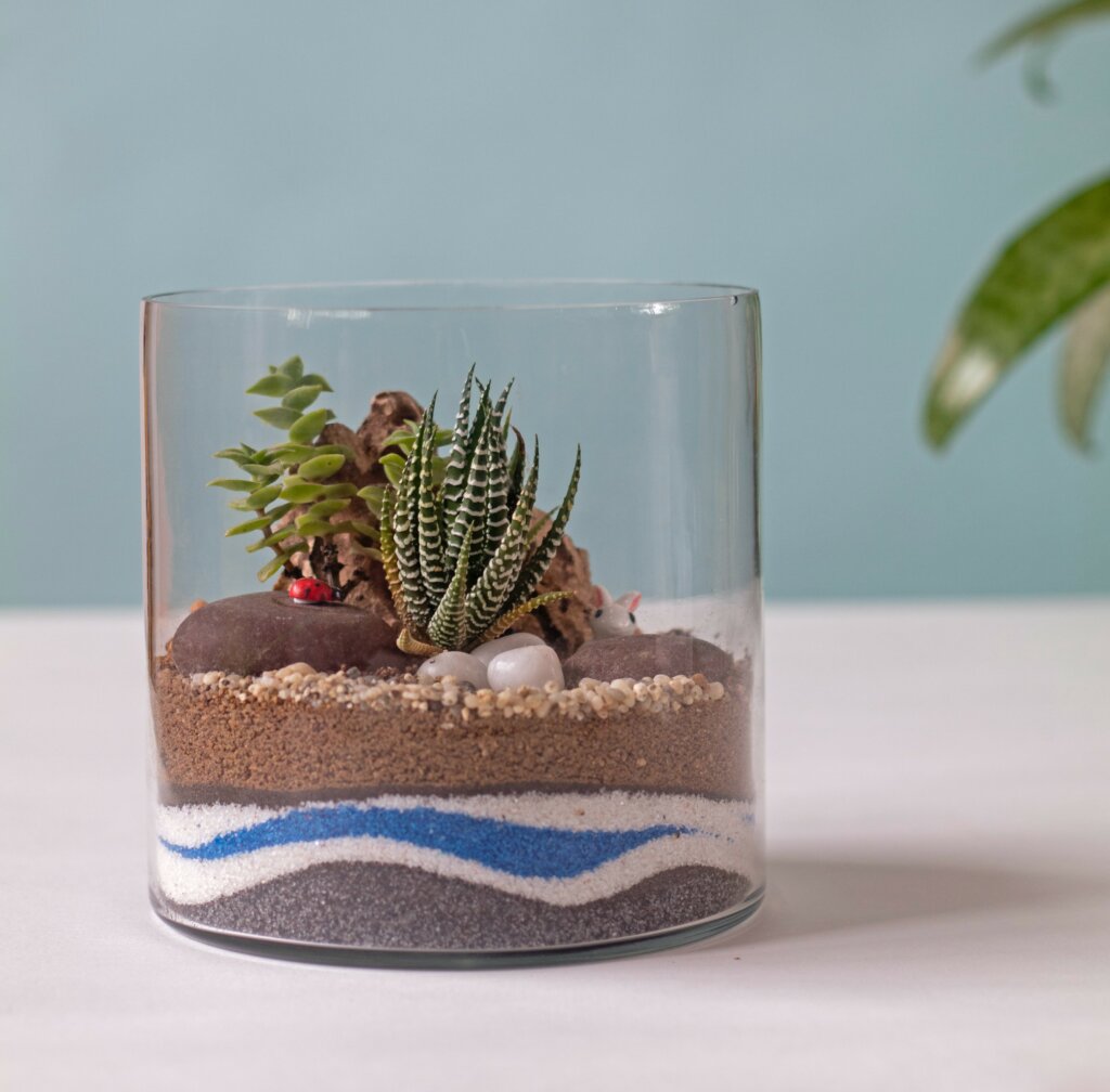 What is a Terrarium & How Do They Work? Here's What You Need To Know