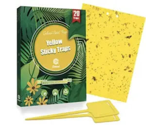 Gideal 20-Pack Dual-Sided Yellow Sticky Traps