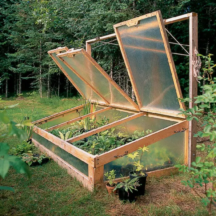 cold frames for plants