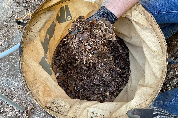 composting shredded leaves