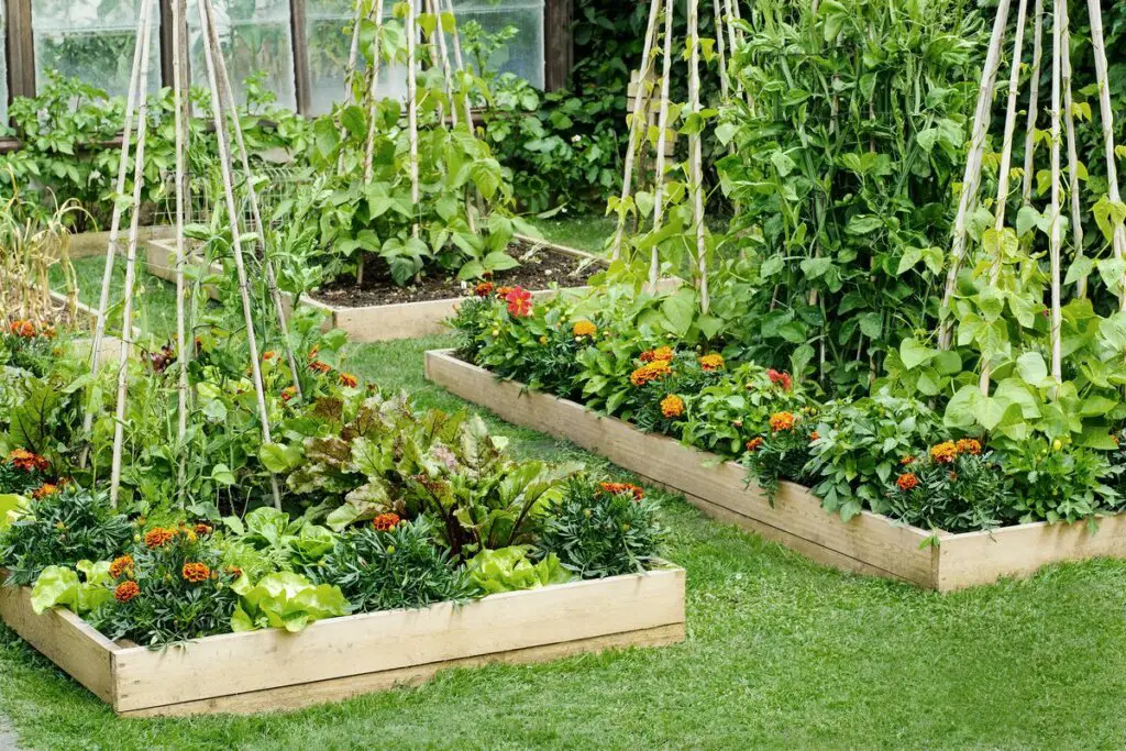 How Deep Should My Raised Garden Bed Be? TheBestGardeningInfo