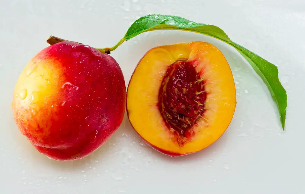 how to plant peach seeds