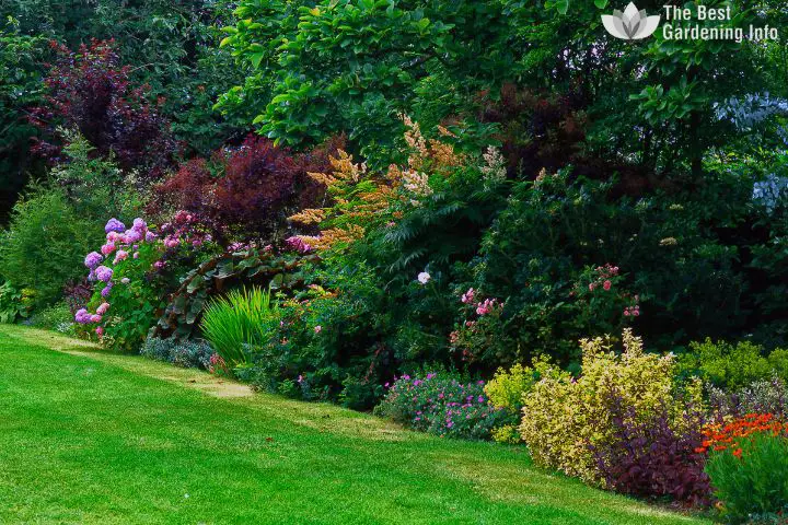 10 Low-Maintenance Alternatives for a Lush Lawn