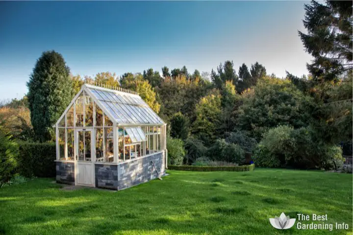 Best Small Backyard Greenhouses for Every Gardener