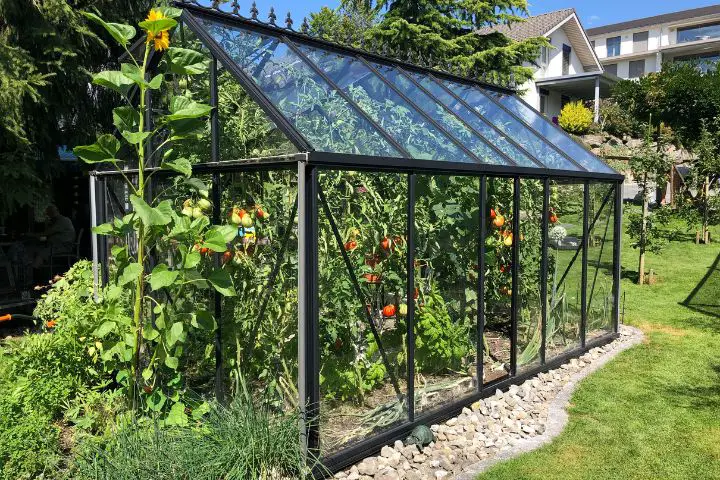 Cold Frame Greenhouses