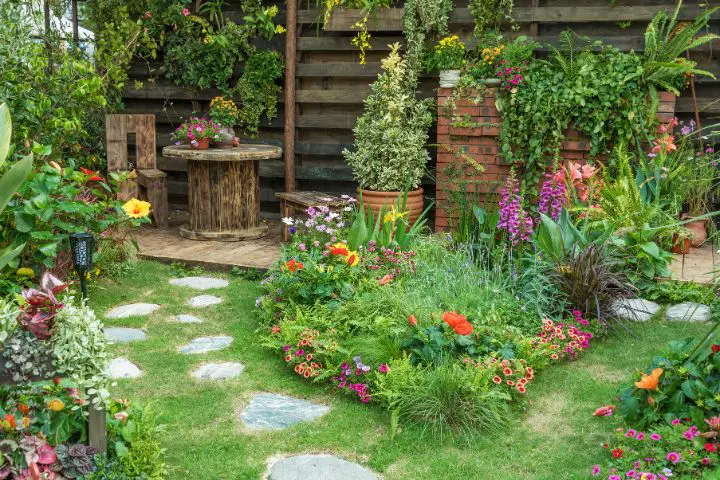 Create a Thriving Garden