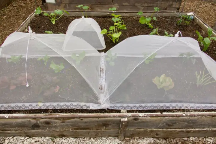 Raised Bed Greenhouses