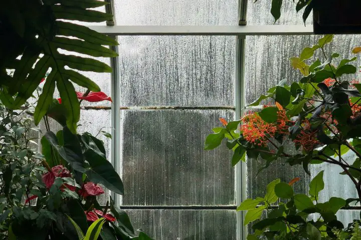 Window Greenhouses